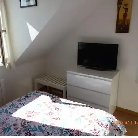 Bel A 10 Minutes Du Marche De Noel De Strasbourg Apartment *